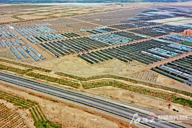 莎車縣戈壁產業園里，3000座溫室大棚成為荒灘上最具活力的地方。天山網-新疆日報記者 蔡增樂 攝